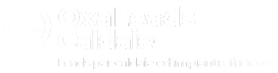 caldaia lead generation white